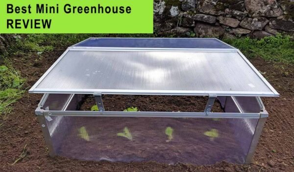 Mini Green house with Polycarbonate hollow sheeting